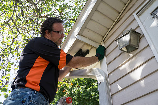 Best Carpet Removal and Disposal  in New Orleans Station, LA